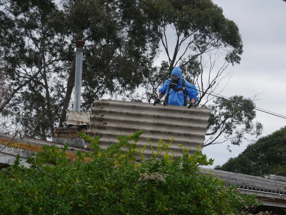 Licensed removalist in protective gear lifting bonded asbestos roof sheeting